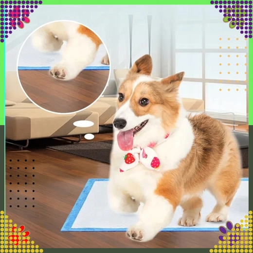 Comodidad para cachorros y perros mayores