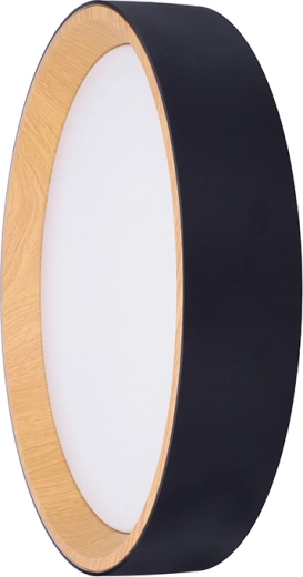 Diseño moderno en negro y decoración de madera