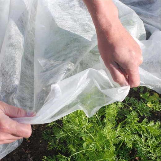 Inicio seguro de las plantas en primavera
