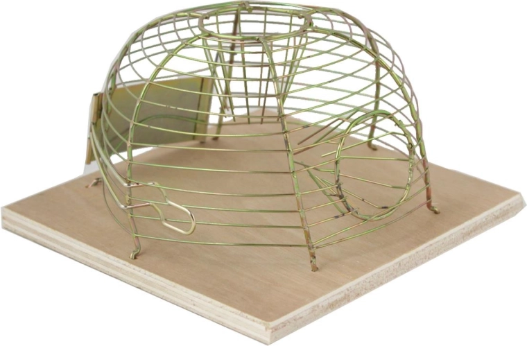 Trampa viva para ratones 14 × 14 cm