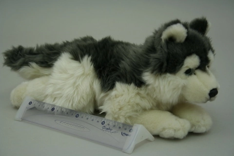Husky de peluche 35 cm