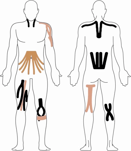 Aplicación universal en todo el cuerpo
