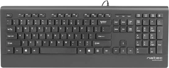 Teclado Natec Barracuda Slim negro USB