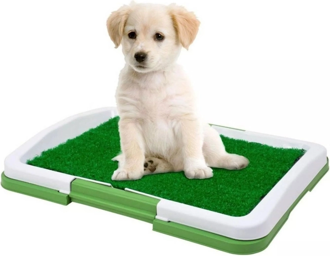 Baño para perros con césped artificial 47 × 34 × 6 cm