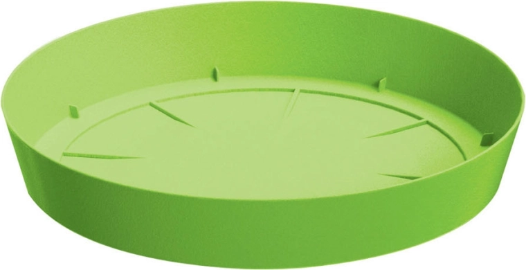 Plato LOFLY color lima 30,5 cm