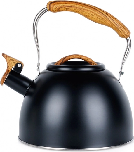 Tetera negra de acero inoxidable con silbato 2,5 l