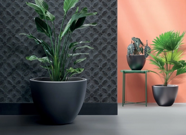 Diseño moderno y minimalista