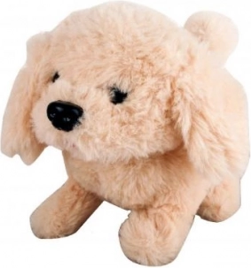 Perrito beige a pilas