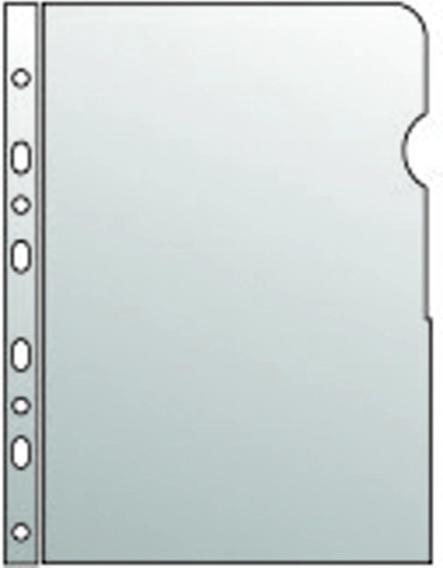 Funda transparente para documentos A4 brillante
