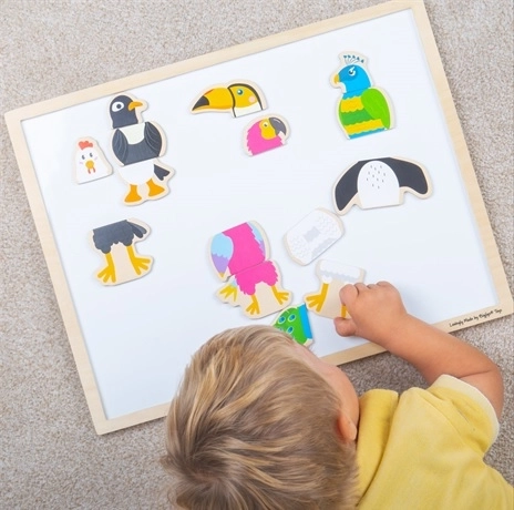 Imanes de madera Amigos de las aves BIGJIGS TOYS