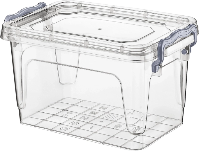 Recipiente de plástico rectangular Maxi Multi Box 1 l con tapa