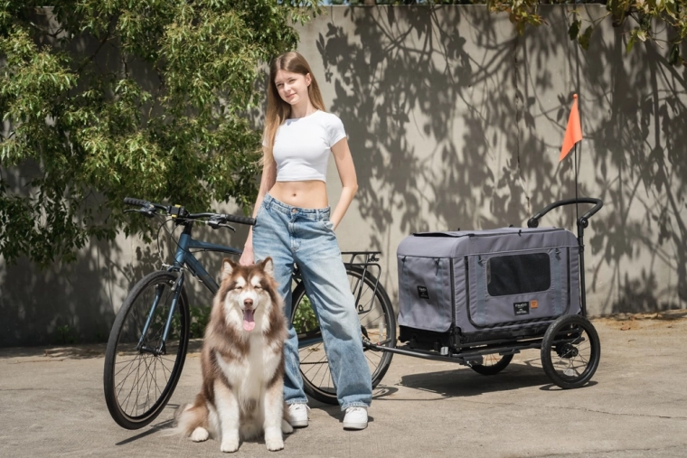 Conversión a remolque para bicicleta en unos segundos