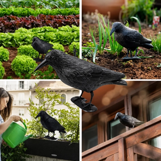 Apto para balcón y jardín