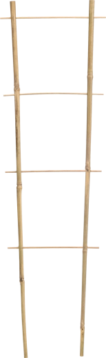Soporte doble de bambú para plantas trepadoras 45 cm