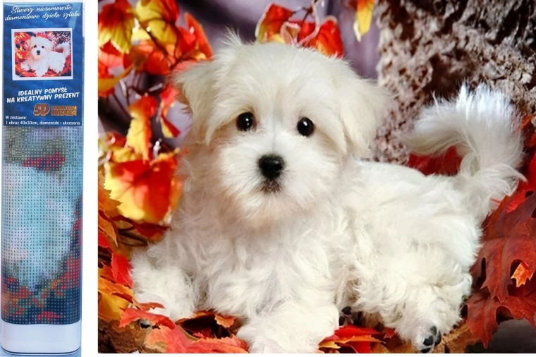 Pintura de diamantes – cachorro blanco 30 × 40 cm