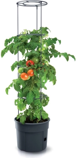 Ideal para tomates y otros cultivos trepadores