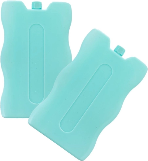 Placas refrigerantes para bolsa térmica y nevera portátil para coche 2×200 g, 2 uds.