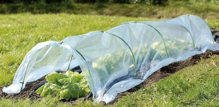 Crea un microclima ideal para un crecimiento más rápido