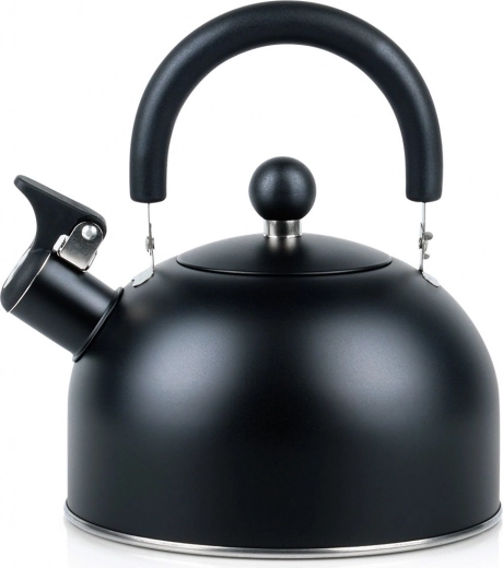 Hervidor negro de acero con silbato 2 l VILDE