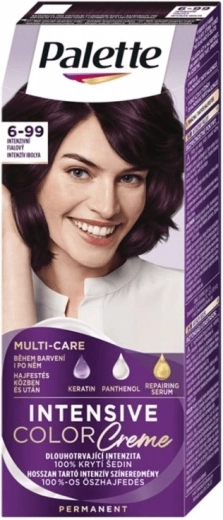 Palette Intensive Color Creme 6-99 violeta intensa 50 ml