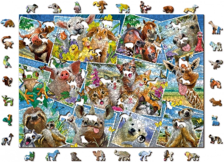 Collage colorido de animales: una bella decoración al terminar