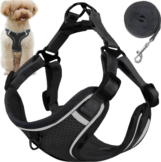 Arnés de seguridad antitirones para perros pequeños y gatos con correa de 150 cm, talla M