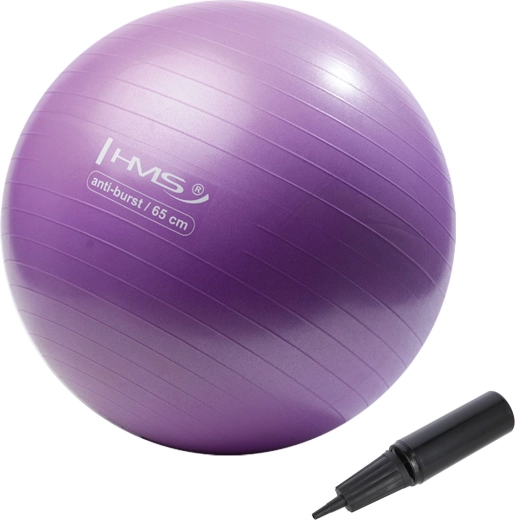 Balón de gimnasia HMS 65 cm morado