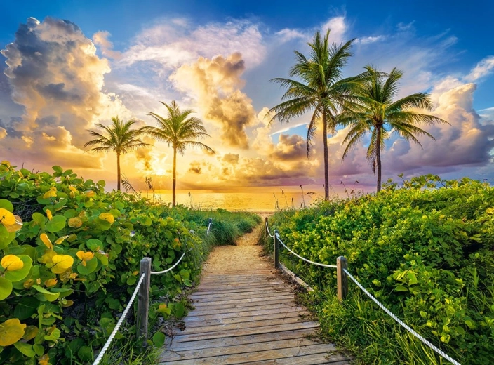 Puzzle de 3000 piezas Colorful Sunrise in Miami