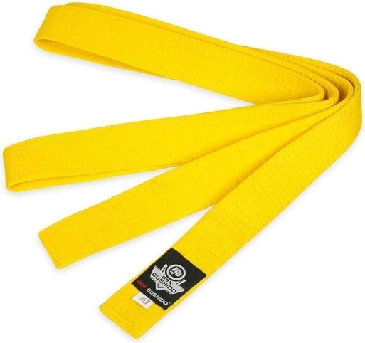 Cinturón de karate DBX BUSHIDO OBI – amarillo
