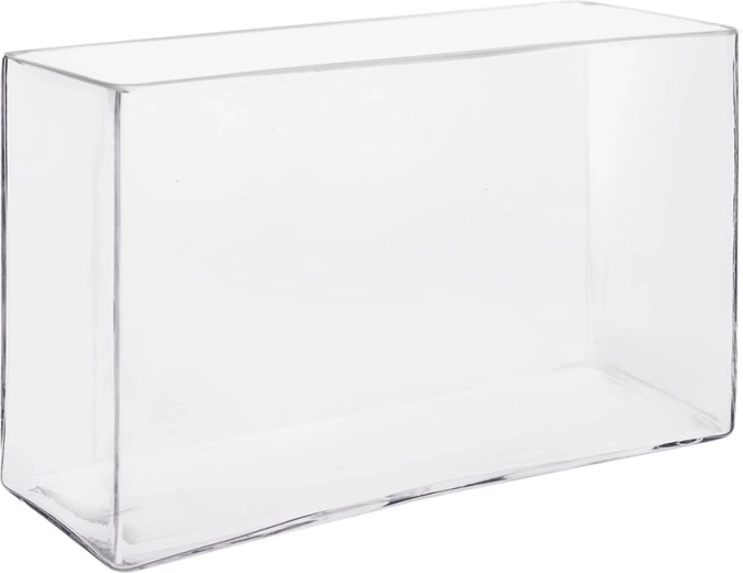 Jarrón de vidrio transparente 24,5 × 8 × 15,5 cm