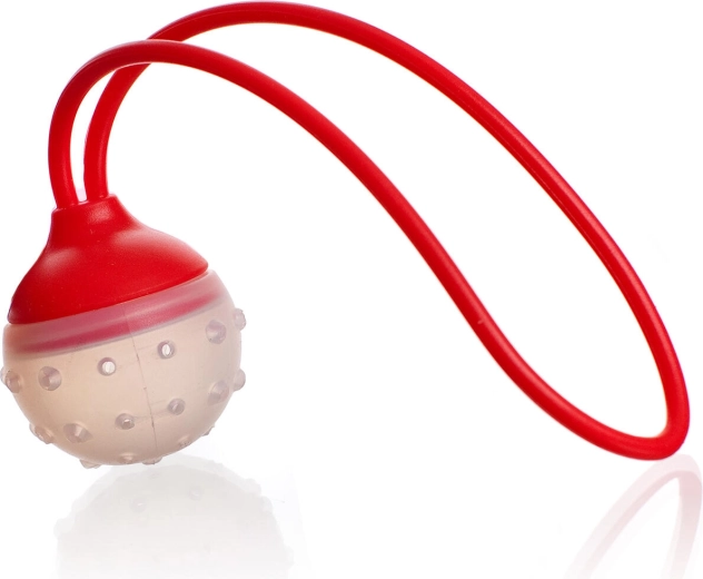 Colador de silicona para té y especias CULINARIA, 5 × 22 cm, rojo