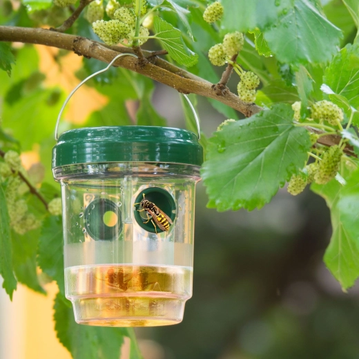 Trampa solar colgante para insectos