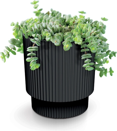 Ideal para plantas de interior