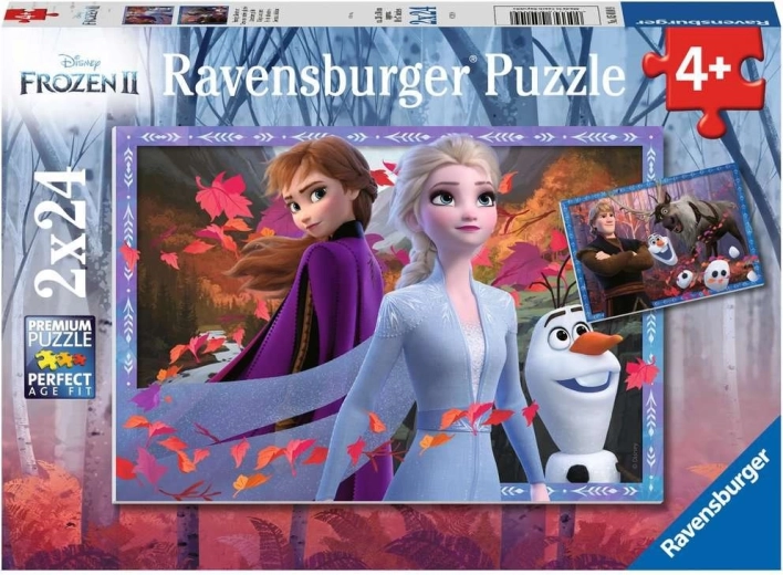 Puzle 2x24 piezas Frozen 2