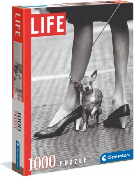 Puzzle Clementoni Life chihuahua de 1000 piezas – Chihuahua
