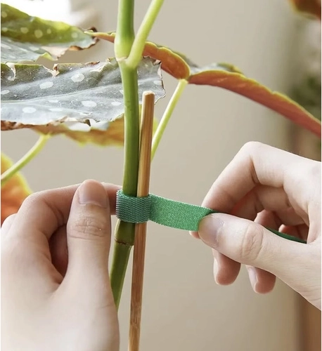 Soporte delicado para plantas y uso en el hogar