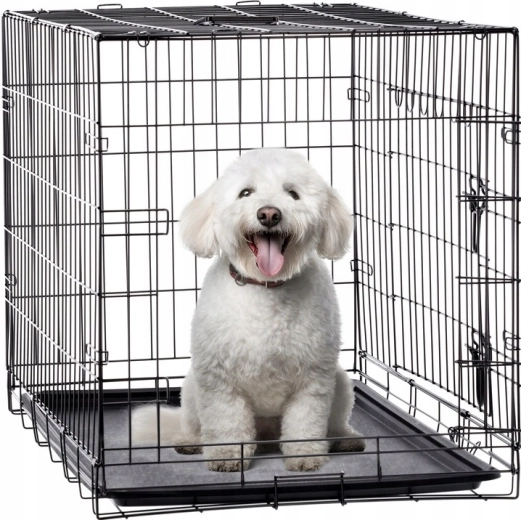 Un lugar seguro para el perro
