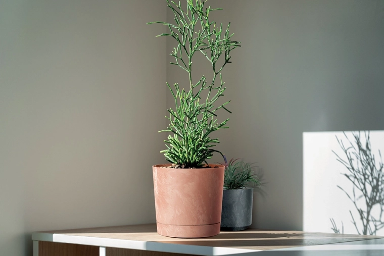 Adecuado para interior y exterior