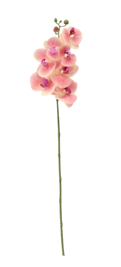 Longitud de 74 cm para un arreglo elegante