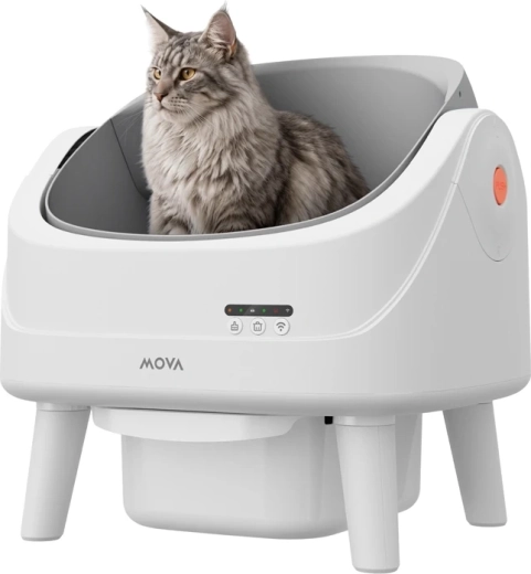 Espacio abierto y seguro para el gato
