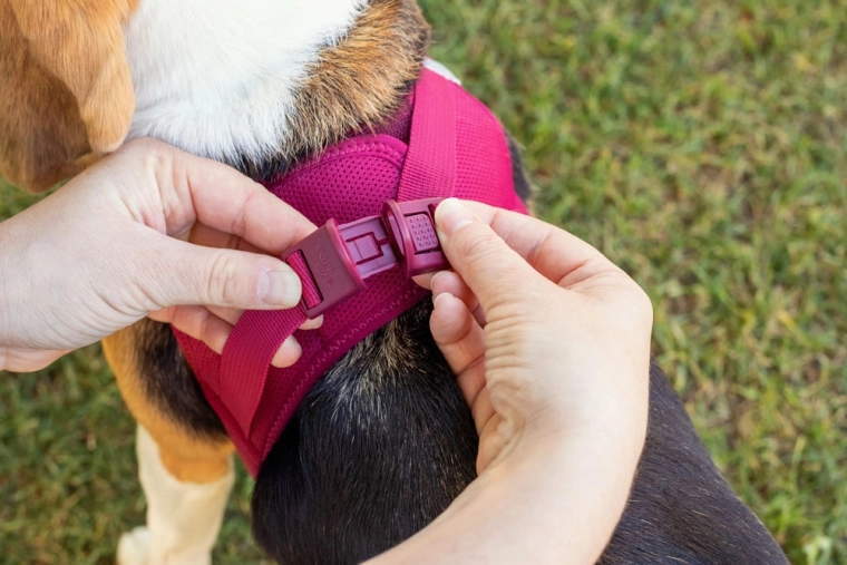 Corte ergonómico cuidadoso con el cuello