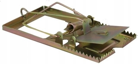 Compacta y fácil de colocar