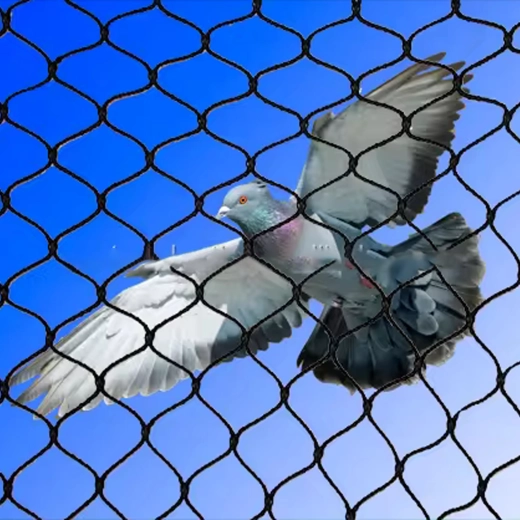 Eficaz barrera contra aves
