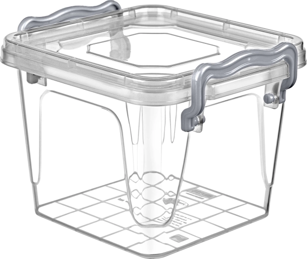 Recipiente para alimentos Multi Box 0,55 l con clips