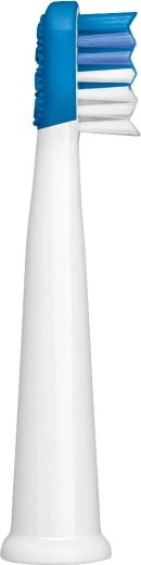 Limpieza minuciosa de los dientes