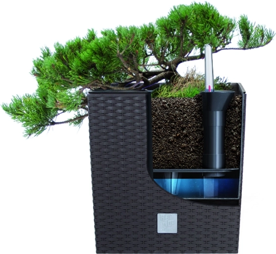 Inserto extraíble para una plantación fácil