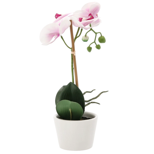Flores realistas sin preocupaciones