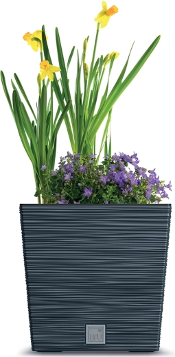 Para plantas en interior y exterior