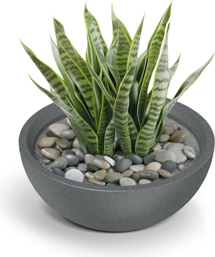 Aspecto moderno gris granito