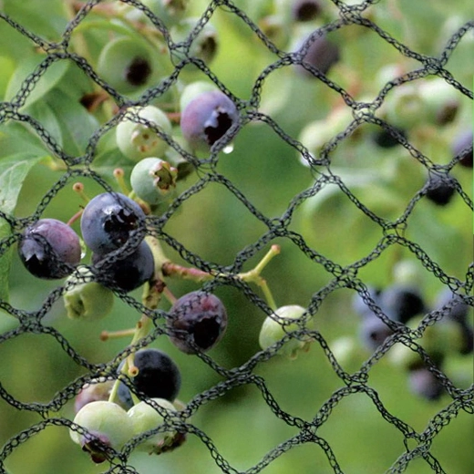 Protección fiable de la cosecha y las plantas